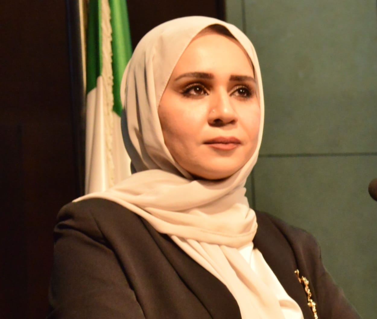 رشا سفيان الأحمد تكتب: الإعلام الرقمي ..  ضرورة مؤسسية لا تقاس بحجم المؤسسة