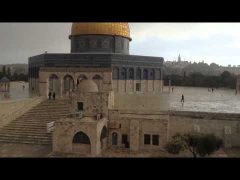 بالفيديو  .. أجواء غائمة وأمطار خفيفة علي مسجد قبة الصخرة صباح اليوم