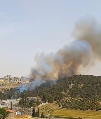 بالفيديو ..  حريق في غابة بمنطقة ناعور