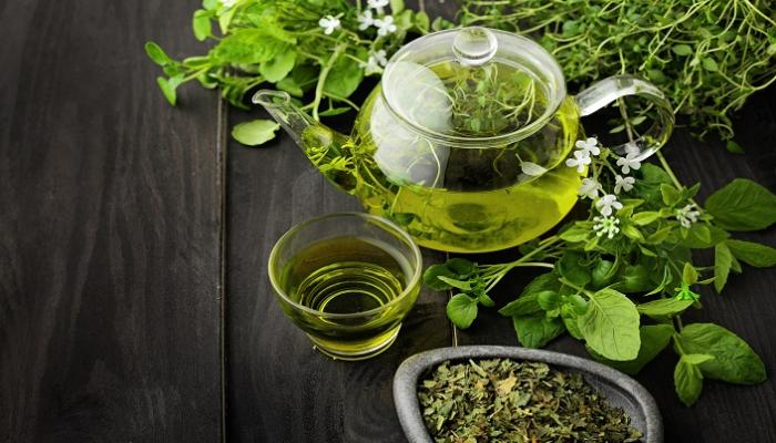 الشاي الأخضر يثبت فعاليته في إنقاص الوزن وتحسين حساسية الإنسولين