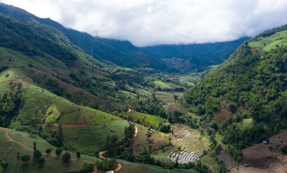 بالصور  ..  تعرف على أفضل 4 رحلات برية في تايلاند