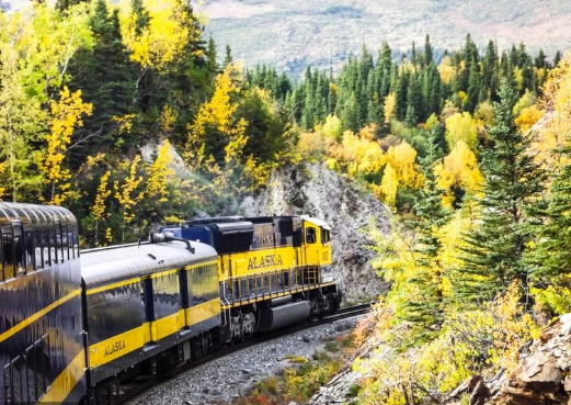 قطار ألاسكا: مغامرة سكة حديدية عبر الجزر والطبيعة البكر