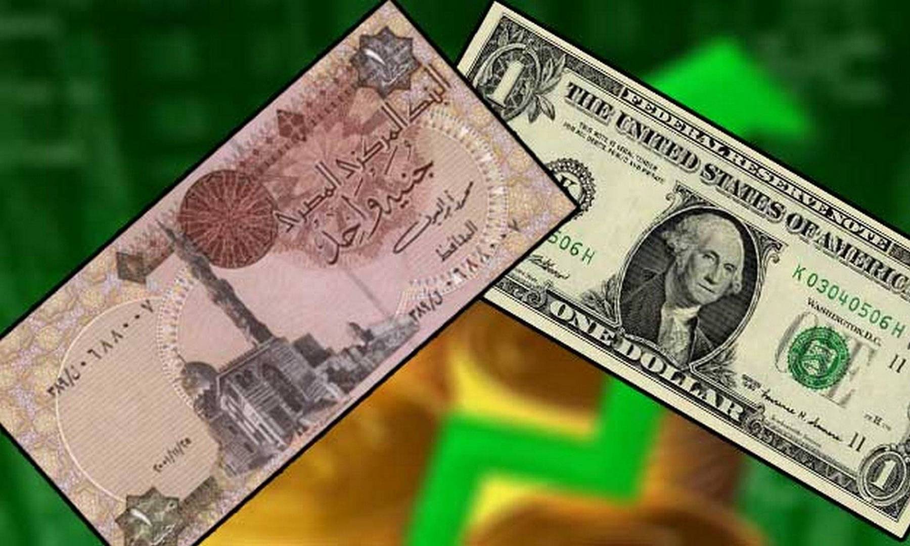   الدولار يهوي مقابل الجنيه المصري في السوق السوداء