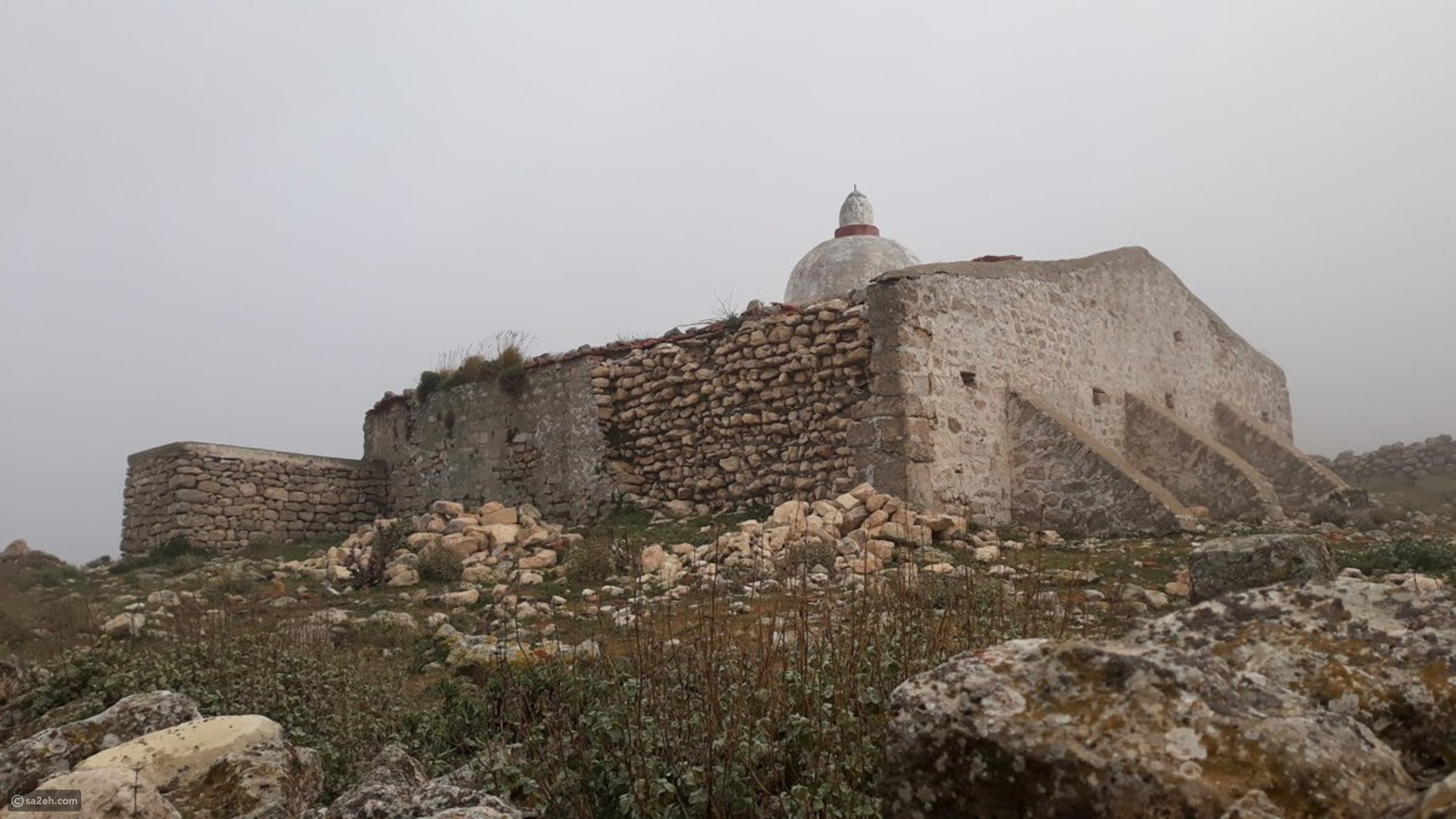 saraya news