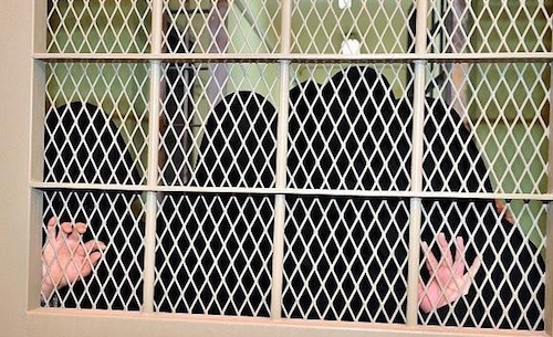 السعودية : حبس مواطنة منعت طليقها من رؤية ابنه في جدة
