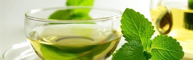 تفسير رؤية النعناع في المنام