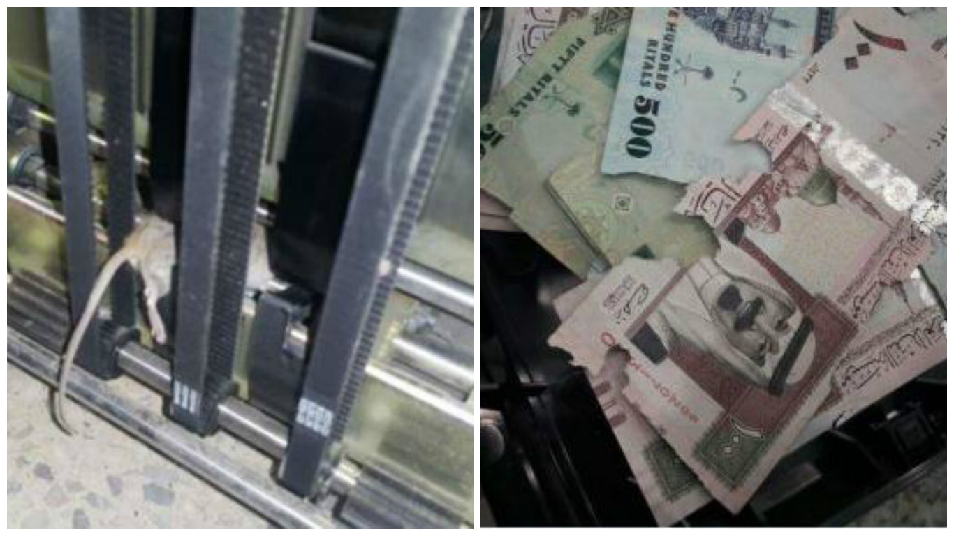 بالصور  ..  القبض على "فأر" التهم 18 ألف ريال سعودي داخل ماكينة صراف آلي 