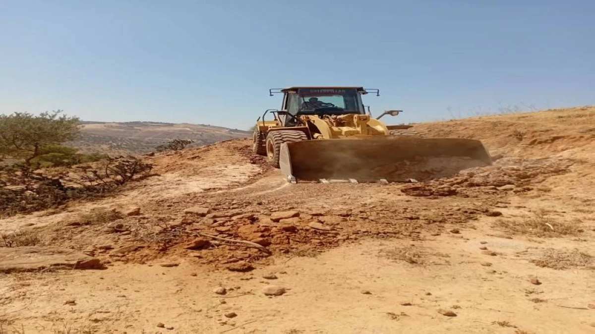 زراعة جرش: فتح خطوط نار داخل الغابات للحد من الحرائق
