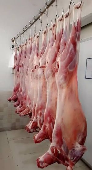 الكواليت: اللحم البلدي اقل سعراً من الروماني وانصح الأردنيين به
