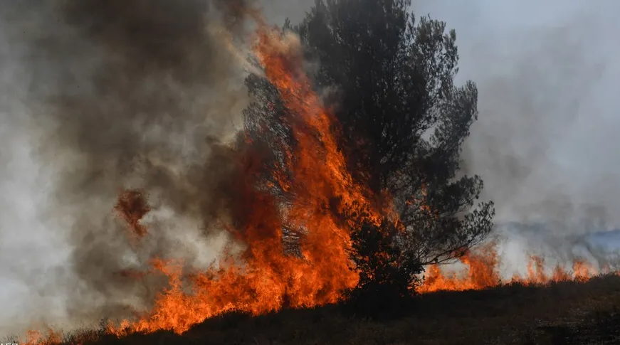 فرنسا ..  النيران تلتهم الغابات وعمليات الإجلاء متواصلة 