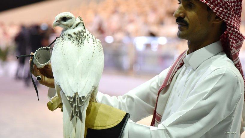 دبلوماسي أميركي في معرض الصيد السعودي : (اللي ما يعرف الصقر يشويه)