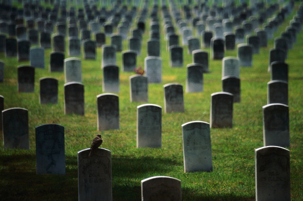 أول مدينة في العالم تحظر زيارة المقابر بقرار رسمي