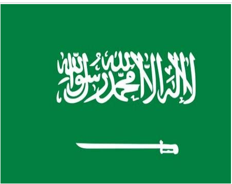 السعودية تعيد هيكلة بعض الوزارات والأجهزة الحكومية