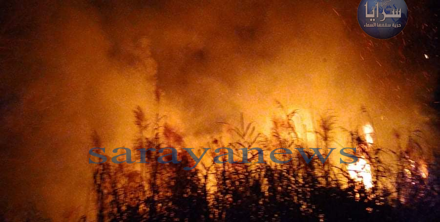 بالفيديو والصور ..  حريق كبير يلتهم مساحات واسعة من الأراضي الزراعية بالأغوار الشمالية