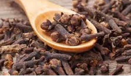 تفسير رؤية القرنفل في المنام وعلاقته بالزواج من رجل صالح وانتهاء المشكلات