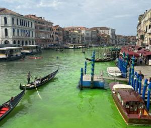 سبب تحول نهر البندقية إلى اللون الأخضر