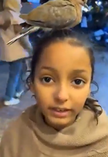 لقطة عفوية تخطف القلوب: طائر يختار طفلة صديقة له - فيديو