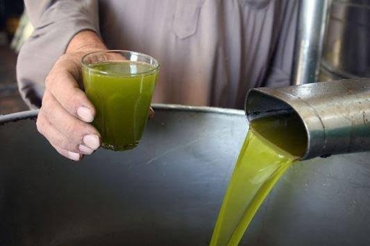 مزارعون: 85 ديناراً السعر المتوقع لتنكة الزيت البلدي الموسم المقبل