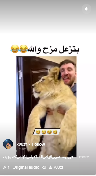 مقلب من العيار الثقيل  ..  رجل يفاجئ صديقه بـ شبل  !!