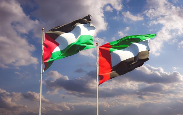 الإمارات ترسل 85 طناً من الأدوية والمستلزمات الطبية إلى غزة