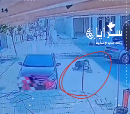 شاهد حادث دهس في إربد ..  والسائق يلوذ بالفرار 