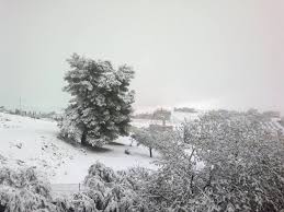 الأرصاد توضح حقيقة تساقط الثلوج مع المنخفض القادم