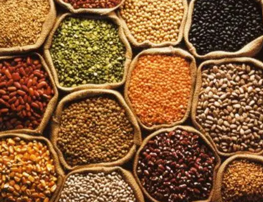 تفسير حلم تناول البقوليات في المنام