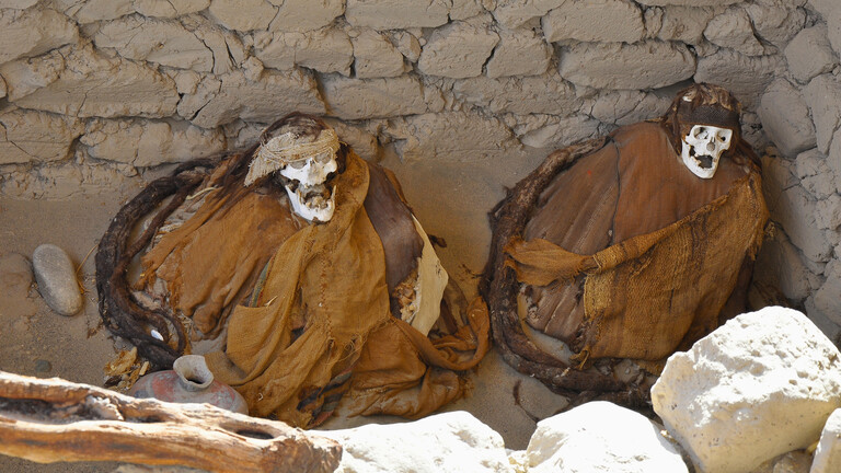 تحقيق علمي يكشف عن قتل وحشي في مومياوات تعود لأكثر من 1000 عام