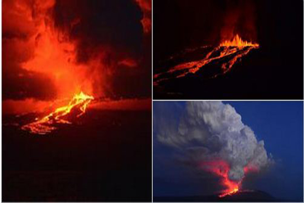 فيديو: بعد 33 سنة من الخمول ..  بركان وولف الإكوادوري يبدأ في الثوران