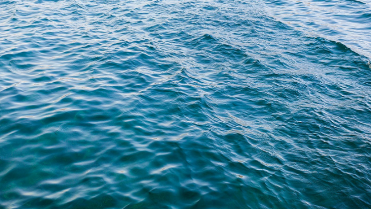 ستُصدم بعد معرفة مُحتوى المياه التي تبتلعها بالخطأ أثناء السباحة "صورة"