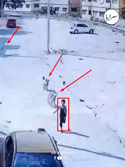 بالفيديو  ..  طفل ينجو من مطاردة كلاب ضالة في أحد أحياء الزرقاء 
