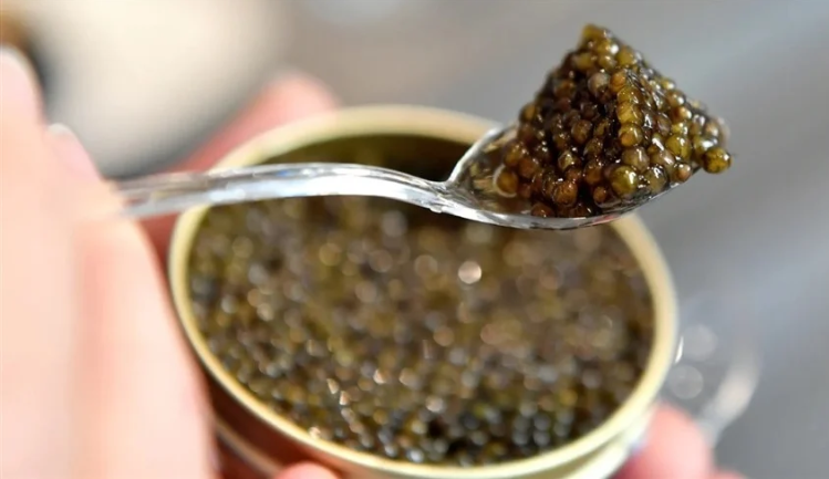 25 ألف دولار للكيلو الواحد ..  أغلى 10 أطعمة عالمياً في 2026