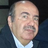 سعيد ذياب سليم يكتب: العيش وسط الأسئلة: كيف نعلّم أبناءنا التعايش مع الشك دون خوف؟