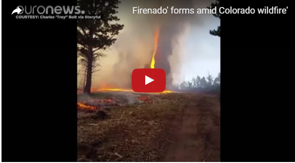بالفيديو: هذا ما يحدث عندما تهب زوبعة على حريق في الغابة
