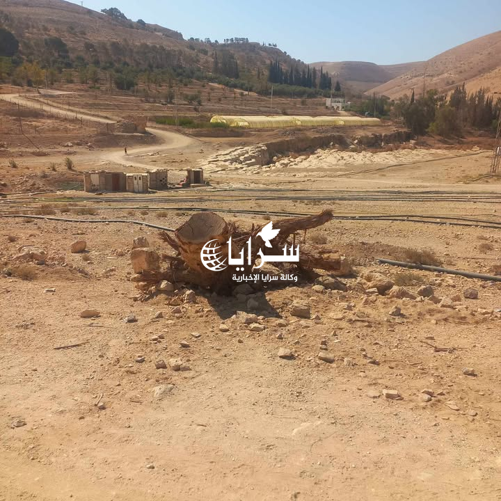 أهالي "النزهة - الوالة" يشكون تأجير أرض تعتبر شريانًا رئيسيًا لمواشيهم ..  فيديو