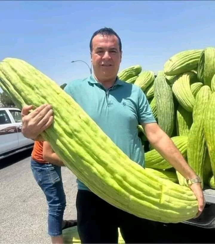ما حقيقة دخول قرية (راكين) في الكرك موسوعة "غينيس" للأرقام القياسية بأضخم حبة "فقوس"؟