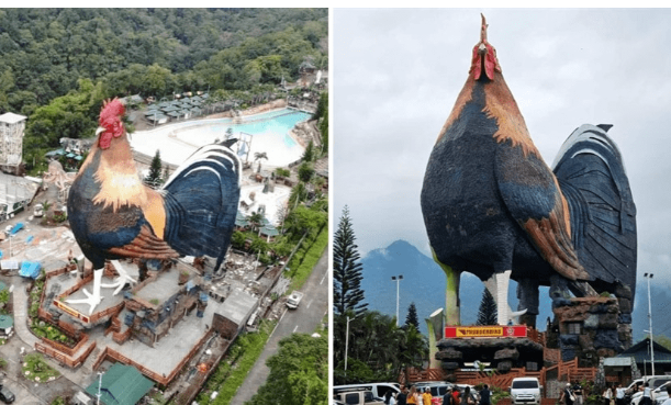 فندق على شكل ديك يدخل موسوعة غينيس