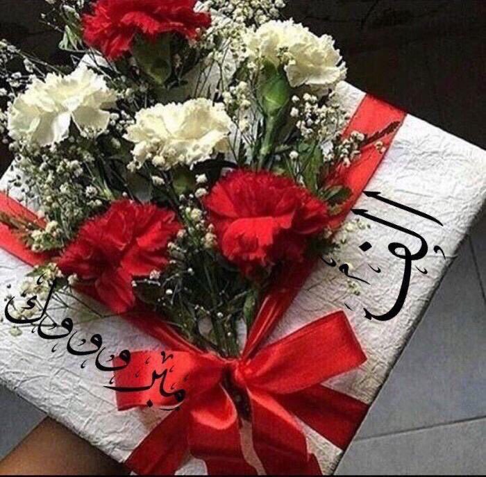 الدكتورة لينا الطراونة  .. الف مبروك