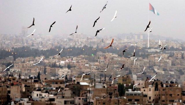  طقس لطيف ومعتدل في معظم مناطق المملكة حتى نهاية الأسبوع 