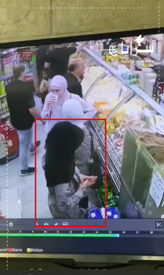 بالفيديو  ..  سيدة تنشل "جِزدان" من حقيبة يد بطريقة جريئة داخل محل تجاري في الزرقاء 