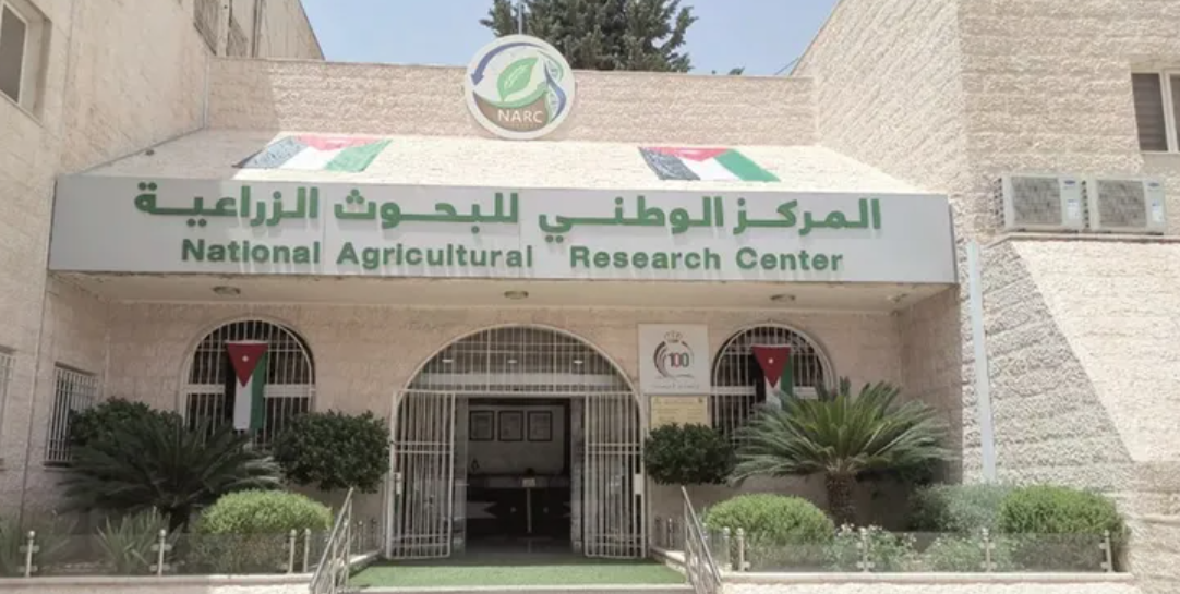أبو حمور: 30 شركة أردنية تصدر البذور إلى 60 دولة