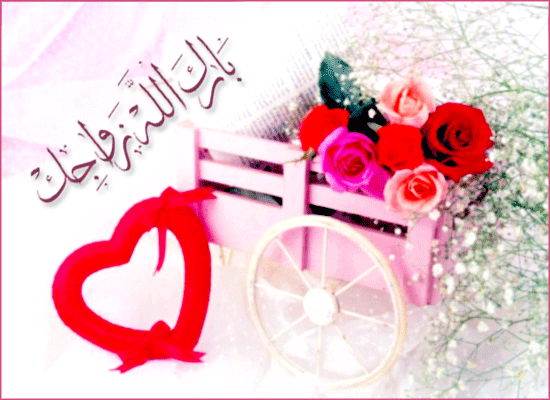 مبارك زواج إبراهيم المسعيديين