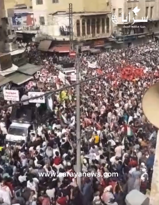 بالفيديو  ..  مظاهرة حاشدة في وسط البلد تنديداً بجرائم الاحتلال في غزة