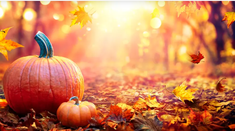 اليقطين ..  قوة صحية خفية تتجاوز مواسم رأس السنة