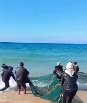 بالفيديو ..  أهالي غزة يصطادون الأسماك لتأمين قوت يومهم