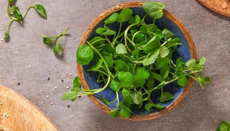 ليس السبانخ أو البروكلي ..  الجرجير يخطف لقب «الأكثر صحة»