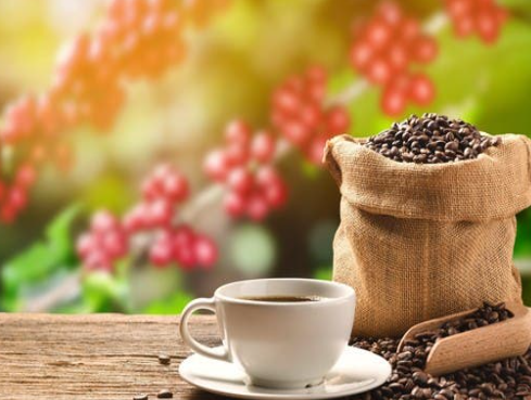 القهوة والأرز ..  ما سر علاقتهما بصحة القلب؟