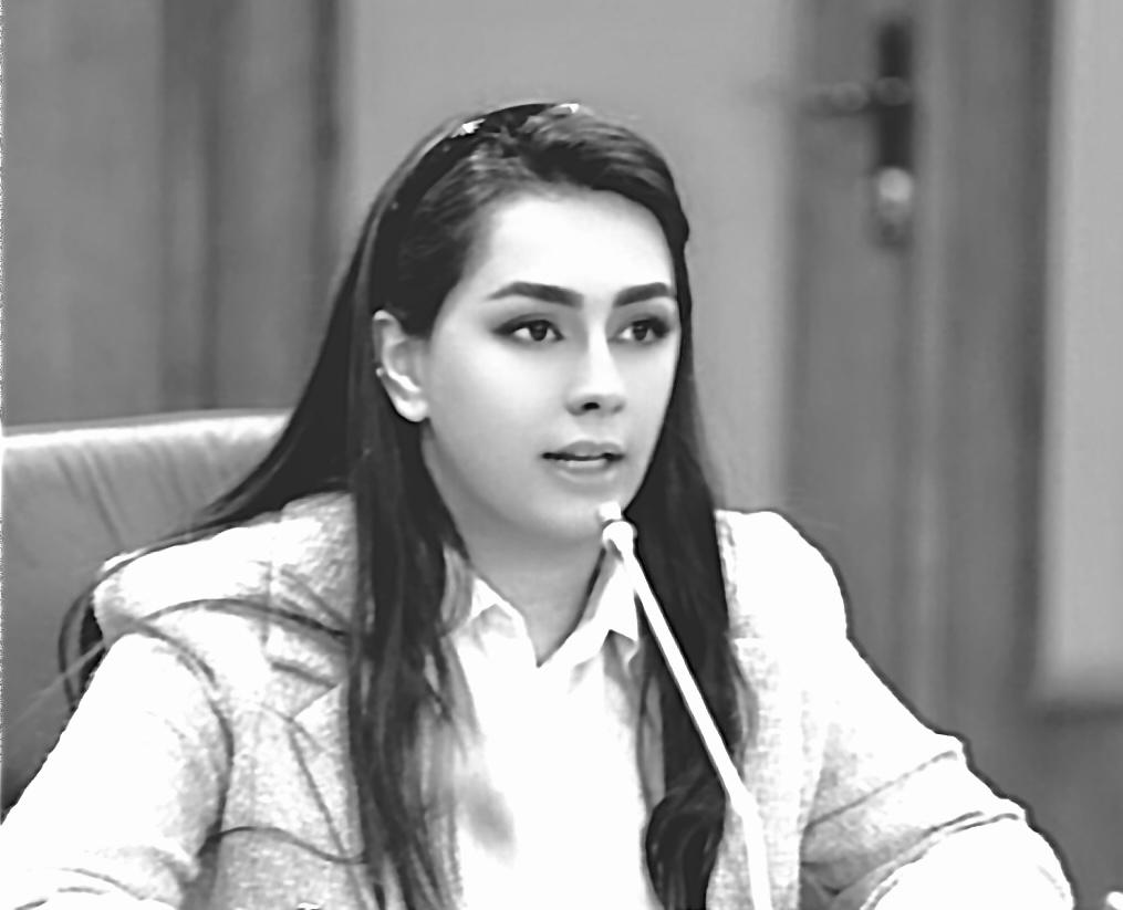 العموش تكتب: لماذا يحتاج التحديث السياسي إلى ترسيخ سيادة القانون؟