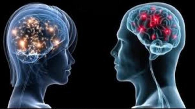 تعرف على أبرز 10 حقائق علمية عن دماغ المرأة والرجل