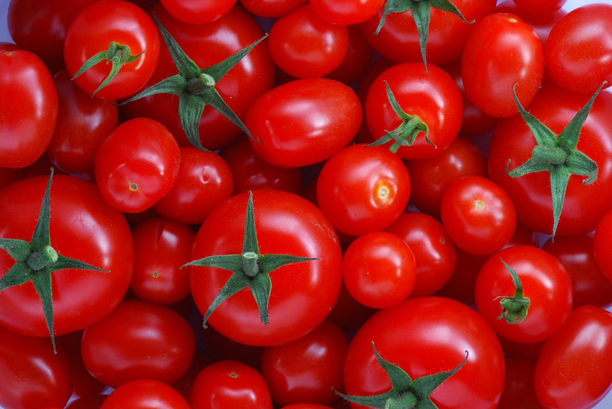 هل تناول الطماطم ينظم نسبة السكر في الدم؟